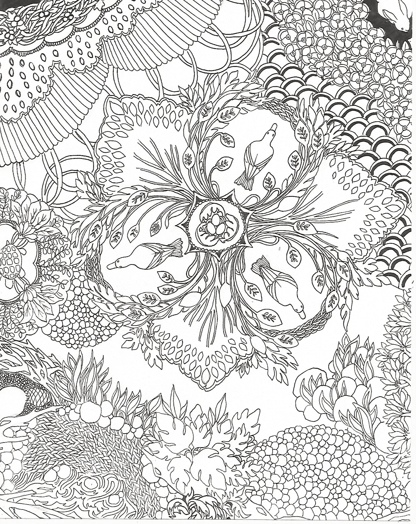 Playful Nature: Coloring for the Here and Now