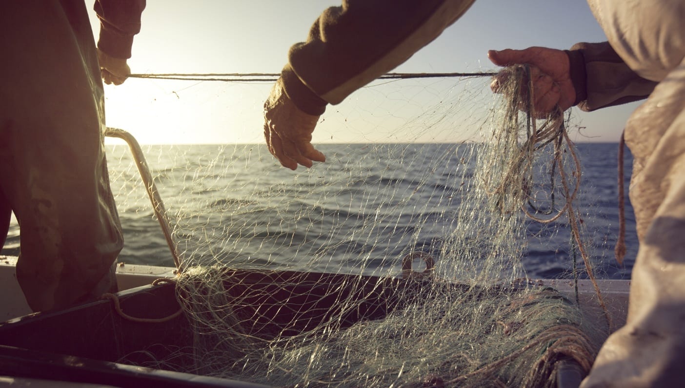 your-guide-to-supporting-sustainable-fisheries