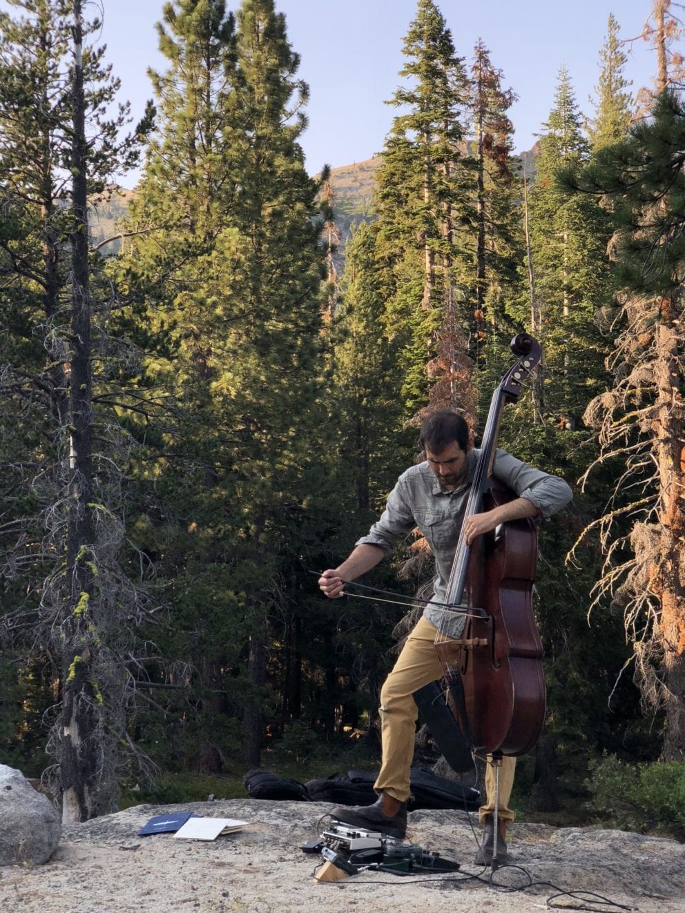 man playing upright bass in woods surrounded by trees