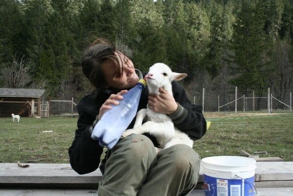 girl with lamb and bottle of milk on farm