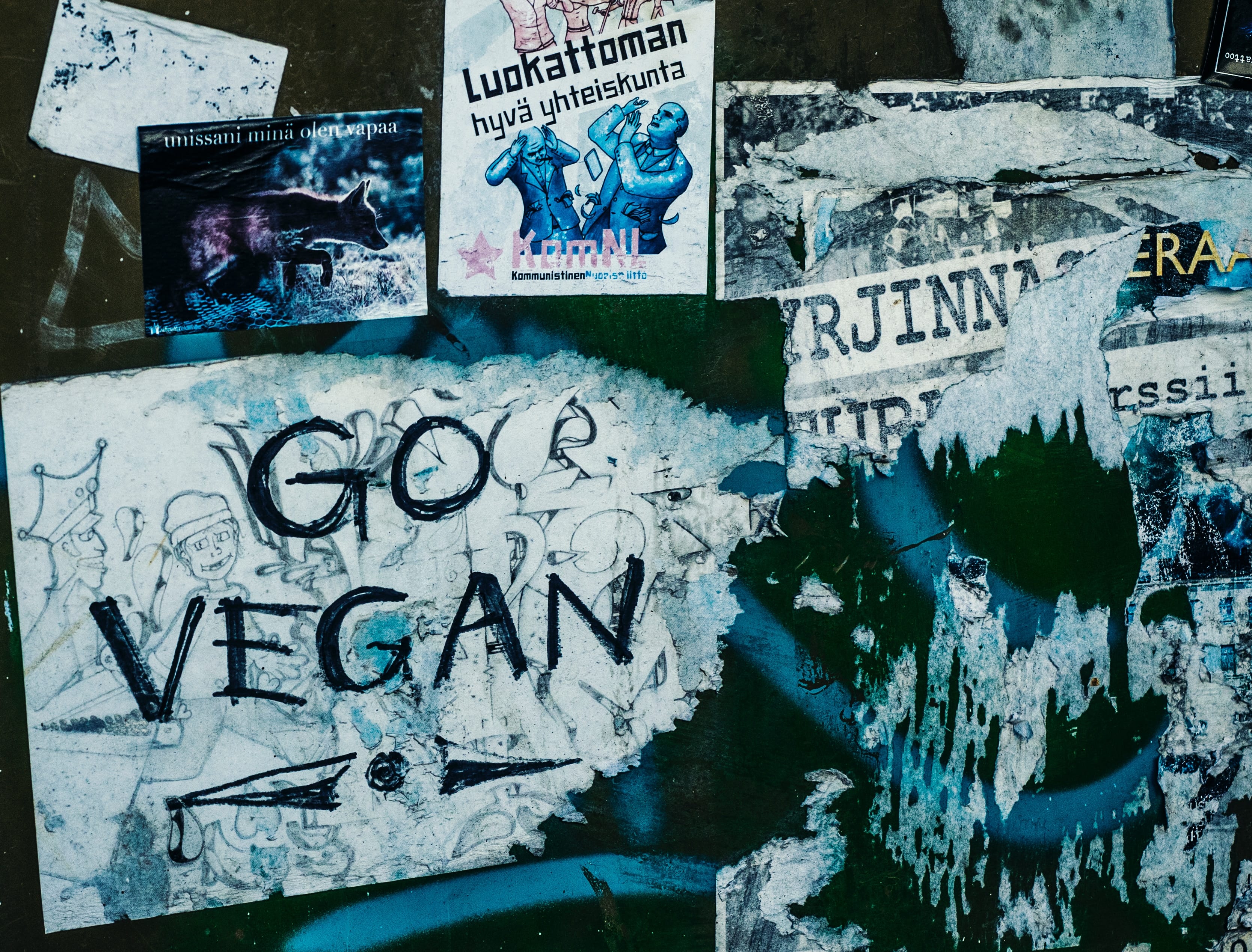 go vegan vandalism on wall in finland