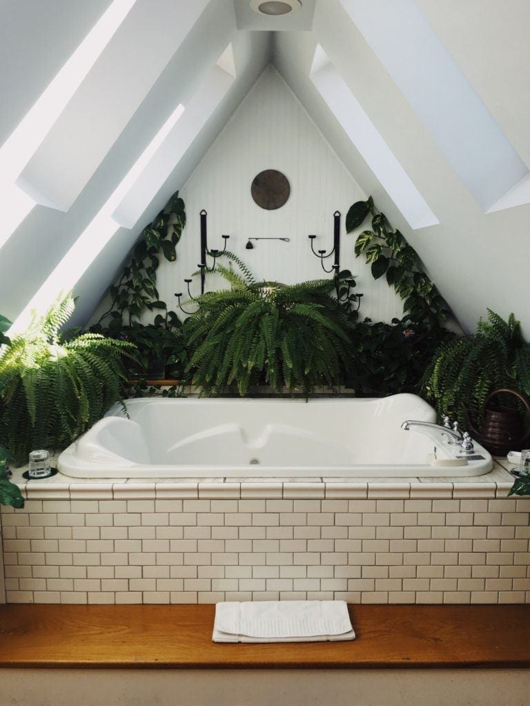 bath surrounded by pine and ferns