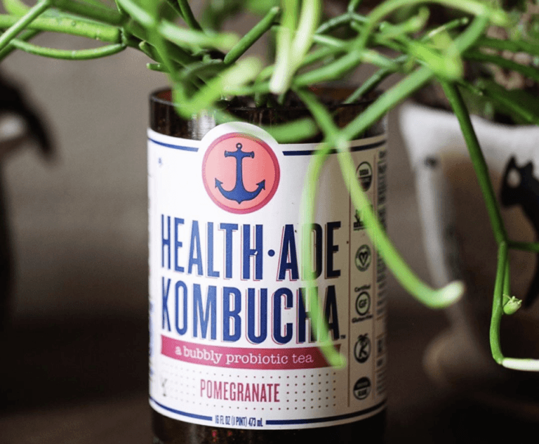 kombucha with leaves growing