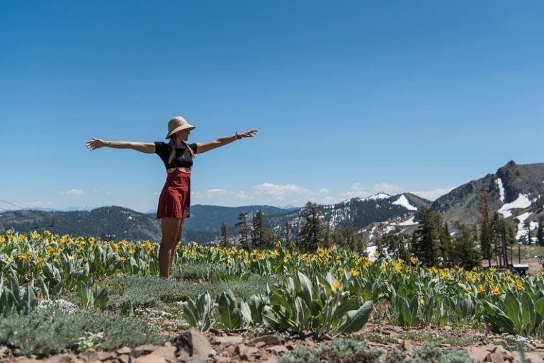 squaw-mountaintop-sunshine-flowers-ali