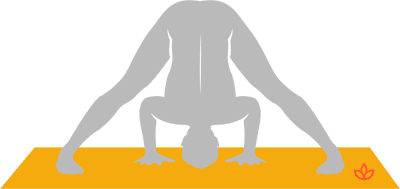 prasarita padottanasana