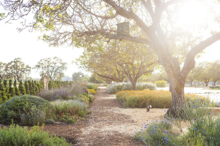 gardens at kendall-jackson